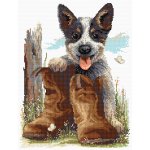 (image for) Bluey’s Boots